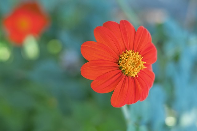 NBA焦点战：湖人客场逆转快船,