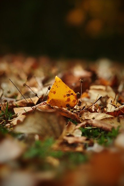 雷霆天才控卫再度刷新纪录
